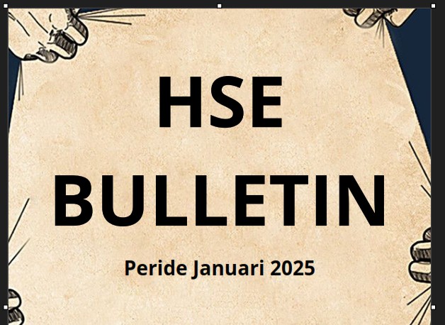 HSE Bulletin January 2025